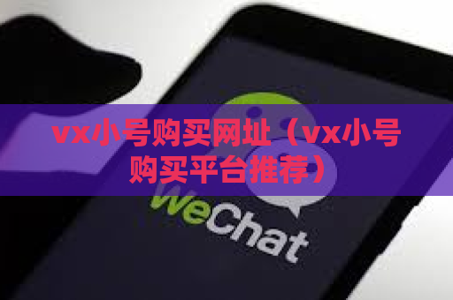 vx小号购买网址（vx小号购买平台推荐）