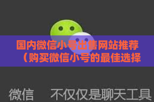 国内微信小号出售网站推荐（购买微信小号的最佳选择）