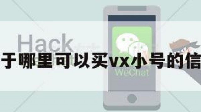 关于哪里可以买vx小号的信息